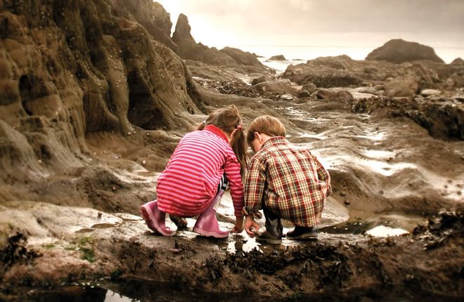 kids tide pool