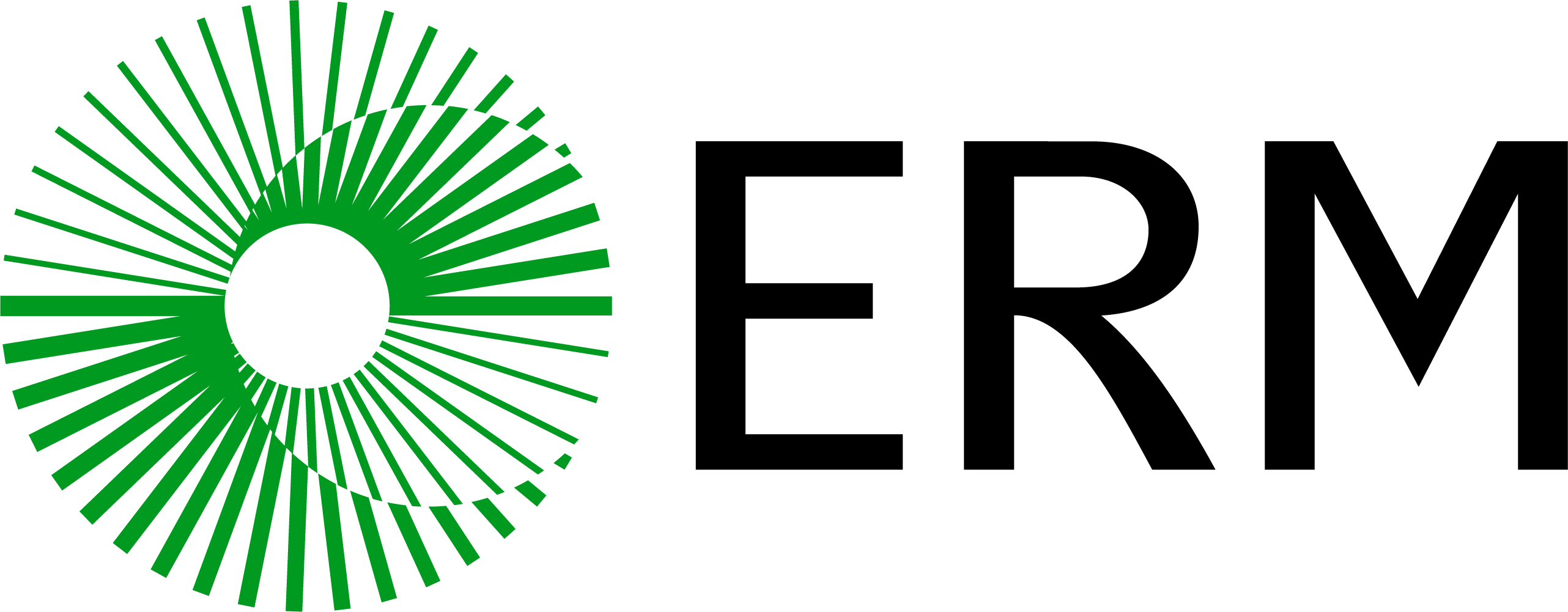 Sponsors 14 ERM Horizontal Green Black RGB
